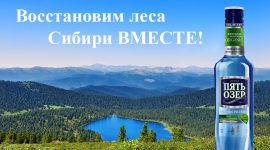 Агитплакат по восстановлению лесов Сибири